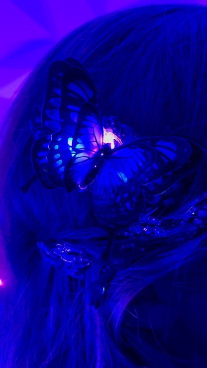 "Night Vision" Butterfly