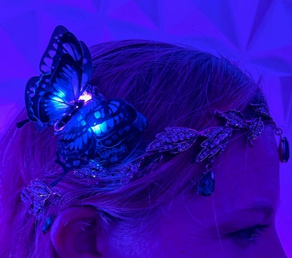 "Night Vision" Butterfly