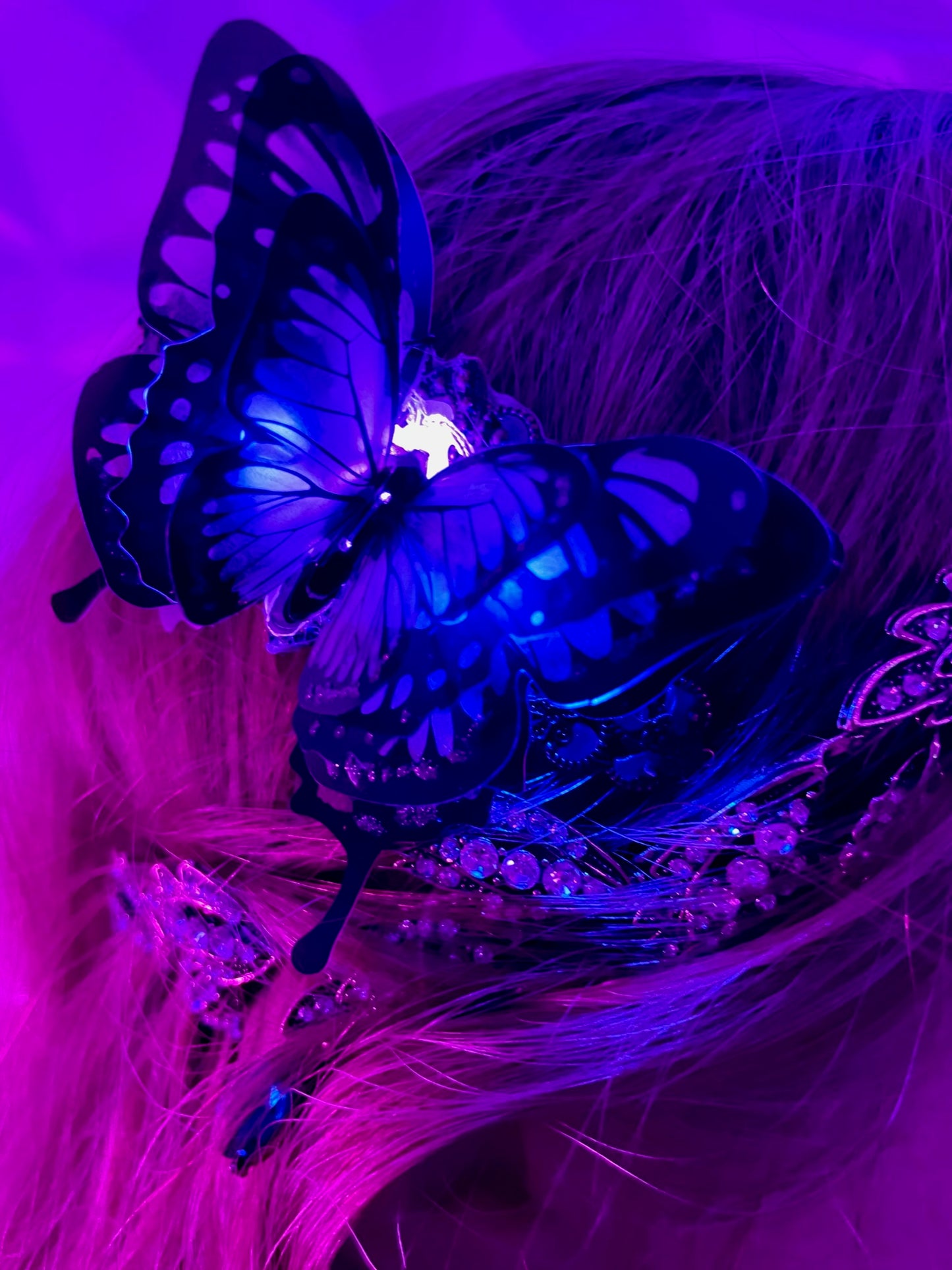 "Night Vision" Butterfly